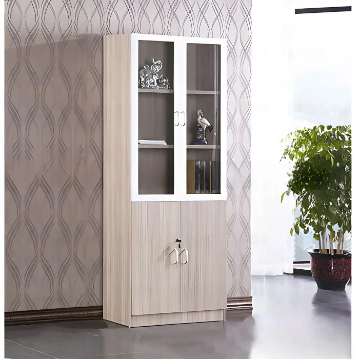 Tủ Tài Liệu 2 Cánh Kính - THS264